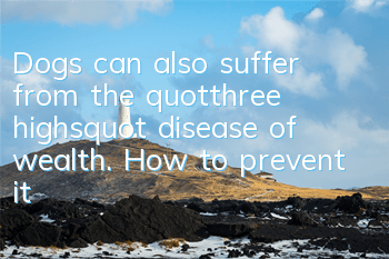 Dogs can also suffer from the "three highs" disease of wealth. How to prevent it?