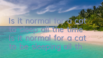 Is it normal for a cat to sleep all the time? Is it normal for a cat to be sleeping all the time?