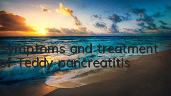 Symptoms and treatment of Teddy pancreatitis