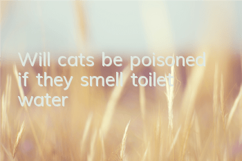 TWill cats be poisoned if they smell toilet water?