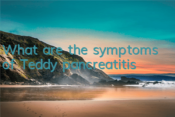 What are the symptoms of Teddy pancreatitis?