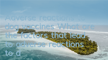 Adverse reactions to dog vaccines What are the factors that lead to adverse reactions to dog vaccines?