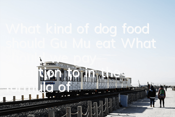 What kind of dog food should Gu Mu eat? What should we pay attention to in the formula of good dog food?