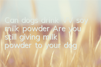 Can dogs drink VV soy milk powder? Are you still giving milk powder to your dog?