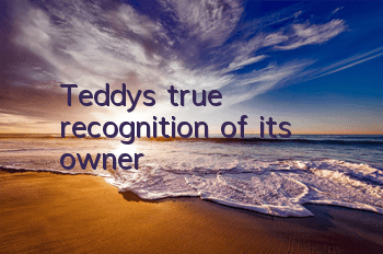 Teddy’s true recognition of its owner