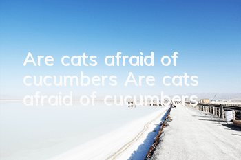 TAre cats afraid of cucumbers? Are cats afraid of cucumbers?
