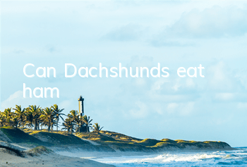 Can Dachshunds eat ham?