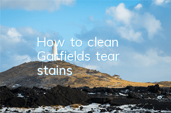 How to clean Garfield’s tear stains