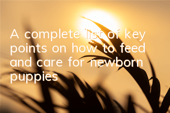 A complete list of key points on how to feed and care for newborn puppies
