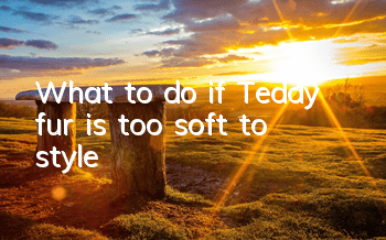 What to do if Teddy fur is too soft to style
