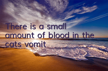 There is a small amount of blood in the cat's vomit
