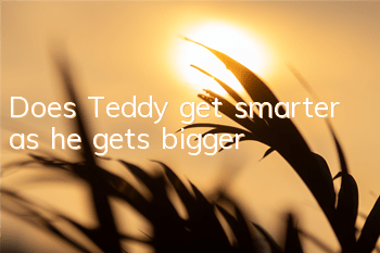Does Teddy get smarter as he gets bigger?