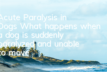 Acute Paralysis in Dogs What happens when a dog is suddenly paralyzed and unable to move?
