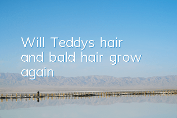 Will Teddy's hair and bald hair grow again?