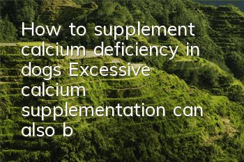 How to supplement calcium deficiency in dogs? Excessive calcium supplementation can also be dangerous!