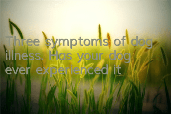 Three symptoms of dog illness. Has your dog ever experienced it?