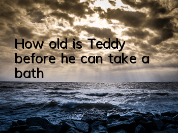 How old is Teddy before he can take a bath?