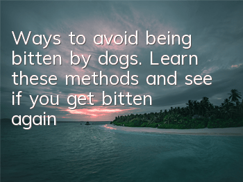 Ways to avoid being bitten by dogs. Learn these methods and see if you get bitten again!