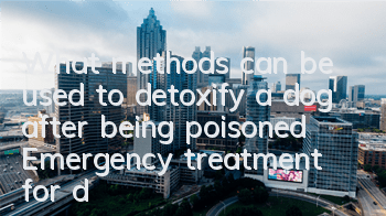 What methods can be used to detoxify a dog after being poisoned? Emergency treatment for different poisoning situations in dogs