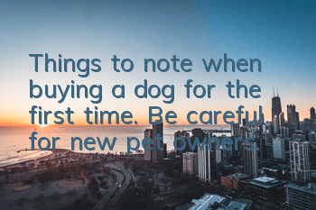 Things to note when buying a dog for the first time. Be careful for new pet owners.