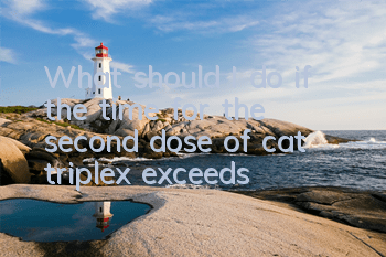 What should I do if the time for the second dose of cat triplex exceeds?