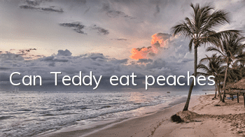 Can Teddy eat peaches?