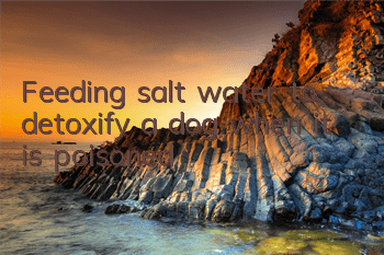 TFeeding salt water to detoxify a dog when it is poisoned