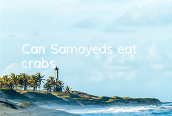 TCan Samoyeds eat crabs?