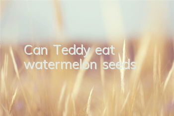 TCan Teddy eat watermelon seeds?