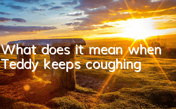 What does it mean when Teddy keeps coughing?