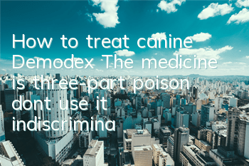 How to treat canine Demodex? The medicine is three-part poison, don’t use it indiscriminately!