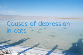 Causes of depression in cats