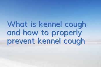 What is kennel cough and how to properly prevent kennel cough