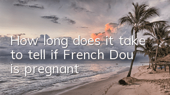 How long does it take to tell if French Dou is pregnant?