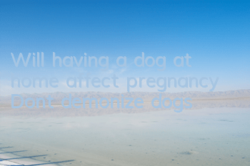 Will having a dog at home affect pregnancy? Don’t demonize dogs
