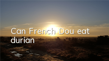 Can French Dou eat durian?