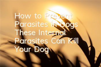 How to Prevent Parasites in Dogs These Internal Parasites Can Kill Your Dog