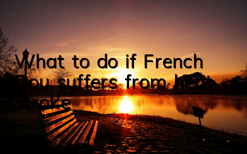 What to do if French Dou suffers from heat stroke