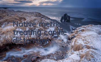 Native methods of treating canine distemper