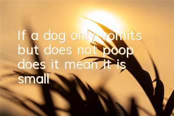 TIf a dog only vomits but does not poop, does it mean it is small?