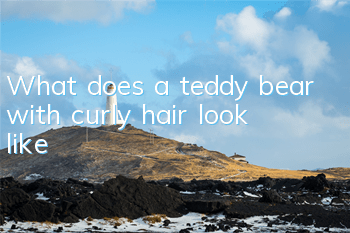 What does a teddy bear with curly hair look like?