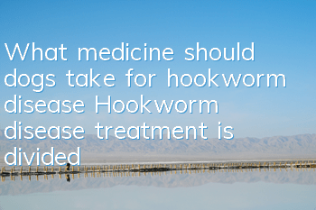 What medicine should dogs take for hookworm disease? Hookworm disease treatment is divided into three steps