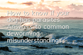 How to know if your dog has parasites? Answers to common deworming misunderstandings