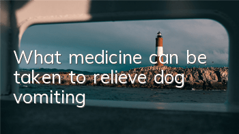 TWhat medicine can be taken to relieve dog vomiting?