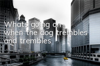 What's going on when the dog trembles and trembles?