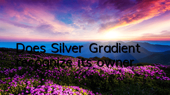 Does Silver Gradient recognize its owner?