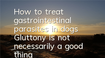 How to treat gastrointestinal parasites in dogs? Gluttony is not necessarily a good thing