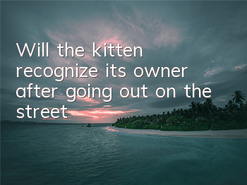 Will the kitten recognize its owner after going out on the street?