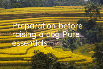 Preparation before raising a dog Pure essentials