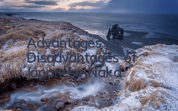 Advantages and Disadvantages of Japanese Naka